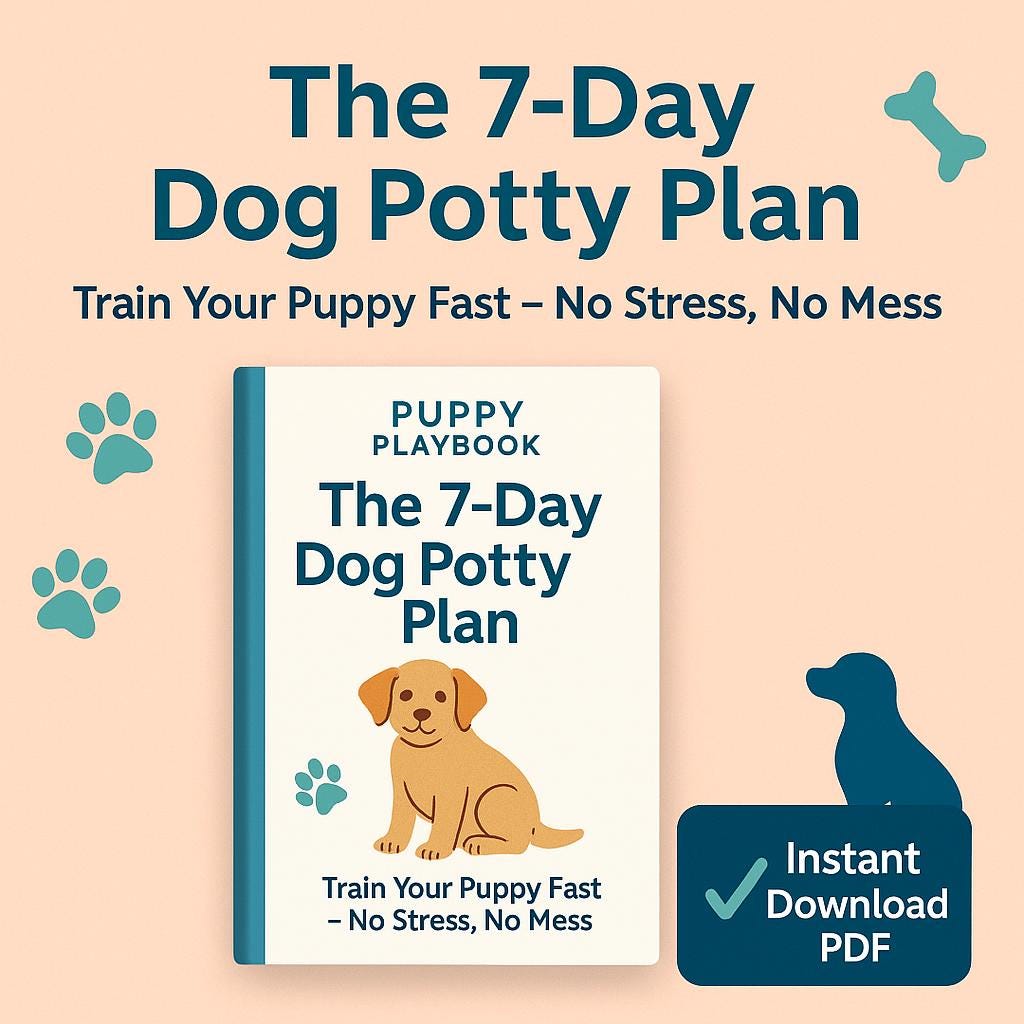 Cheat Sheet Housebreaking Puppies For Dummies Puppy Potty Training