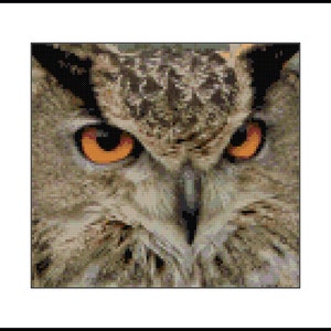 May include: Close-up of an owl's face, showcasing detailed cross-stitch work. The owl's piercing orange eyes are the focal point, set against a backdrop of brown and tan feathers. The image is framed in a black border, highlighting the intricate needlework.