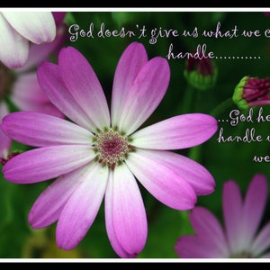 Heavenly Petals Digital Photograph with Scripture image 1