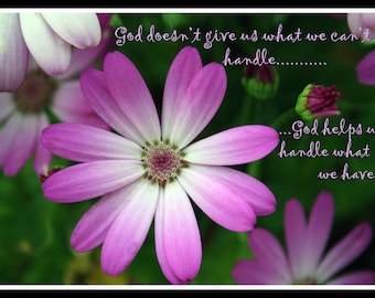 Heavenly Petals Digital Photograph with Scripture