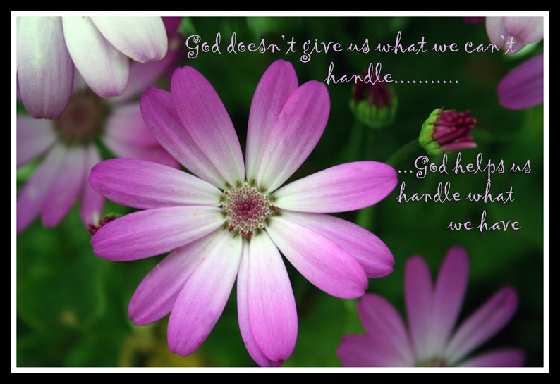 Heavenly Petals Digital Photograph with Scripture image 1