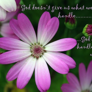 Heavenly Petals Digital Photograph with Scripture image 3