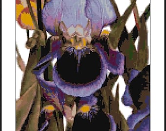 My Iris Garden Cross Stitch Pattern