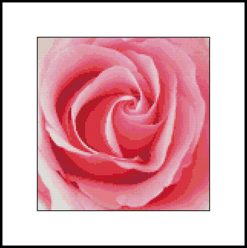 Pink Rose Up Close Cross Stitch Pattern image 1