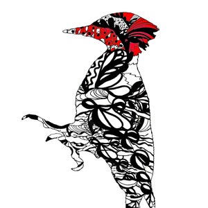 WOODPECKER PAINTING, Wood Pecker Art Print, Bird Artist, Bird Painting, Whimsical Bird Art, Bird Lover Gift by Susie Kunzelman