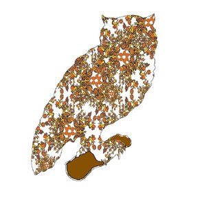 OWL CANVAS Painting, Whimsical Owl Art, Giant Abstract Bird Canvas Painting, Bird Artist, Large Wall Art Bird Collection, Owl Artwork Print