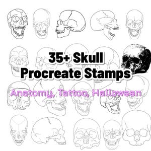 35+ Procreate Skull Stamp Brushes, Human Skull Procreate Brush Set Anatomy Drawing Guides, Tattoo Skull Stencil Halloween Skull Brushes Pack