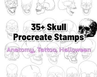 35+ Procreate Skull Stamp Brushes, Human Skull Procreate Brush Set Anatomy Drawing Guides, Tattoo Skull Stencil Halloween Skull Brushes Pack