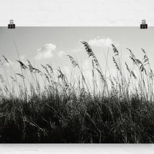 Stampa fotografica in bianco e nero delle dune di sabbia di St. Augustine - Decorazione murale per bagno in stile costiero - Serene Beach House Decor