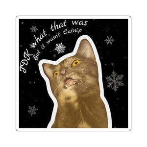 Playful Cat Square Stickers, Adult Humor, Whimsical Decals for Cat Lovers, Laptop Stickers, Gift for Pet Owners, Cute Design for Home Decor