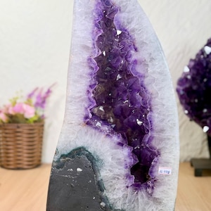 Pode incluir: Uma geoda de ametista alta e vertical com um interior cristalino roxo profundo rodeado por uma borda de quartzo branco e uma base exterior de rocha sólida cinzenta escura. Uma etiqueta branca contém o texto 16448.