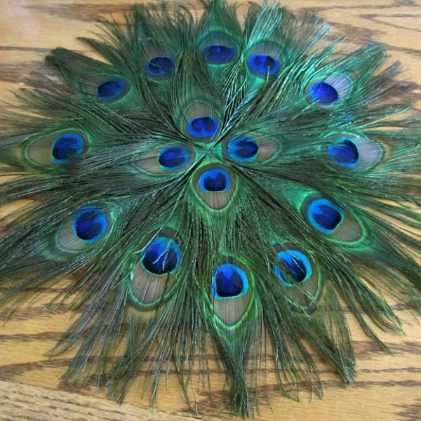 Peacock Feather Placemat