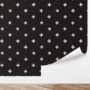 Custom Modern Peel and Stick Wallpaper, Removable Wallpaper - Plus Signs Wallpaper by Love vs. Design