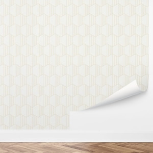 Custom Geometric Peel and Stick Wallpaper, Removable Wallpaper - Shadow Hexagon Wallpaper by Love vs. Design
