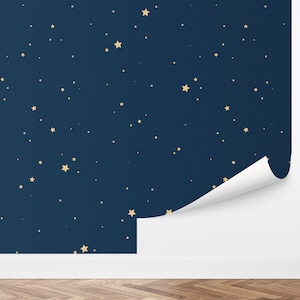 Custom Celestial Peel and Stick Wallpaper, Removable Wallpaper - Starry Sky Wallpaper by Love vs. Design
