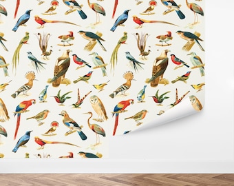 Custom Bird Peel and Stick Wallpaper, Removable Wallpaper - Vintage Birds Wallpaper by Love vs. Design