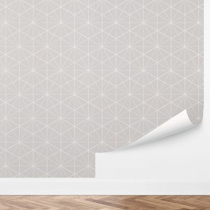 Custom Geometric Peel and Stick Wallpaper, Removable Wallpaper - Hexagon Tiles Wallpaper by Love vs. Design