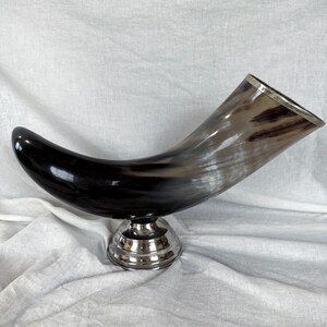 May include: A curved drinking horn featuring a polished, multi-toned brown and black natural finish. The vessel is accented with a metallic silver rim at the opening and is supported by a circular, tiered metallic silver pedestal base.