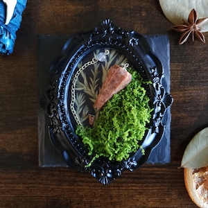 Broken Pendulum Art | Witch Decor | Altar & Witchcraft | Divination Artwork | Upcycled Decorations | Peach Moonstone | Faux Moss | Oddities