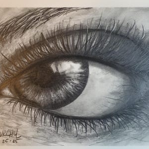 Original Pencil Drawing Framed-Eye Looking In