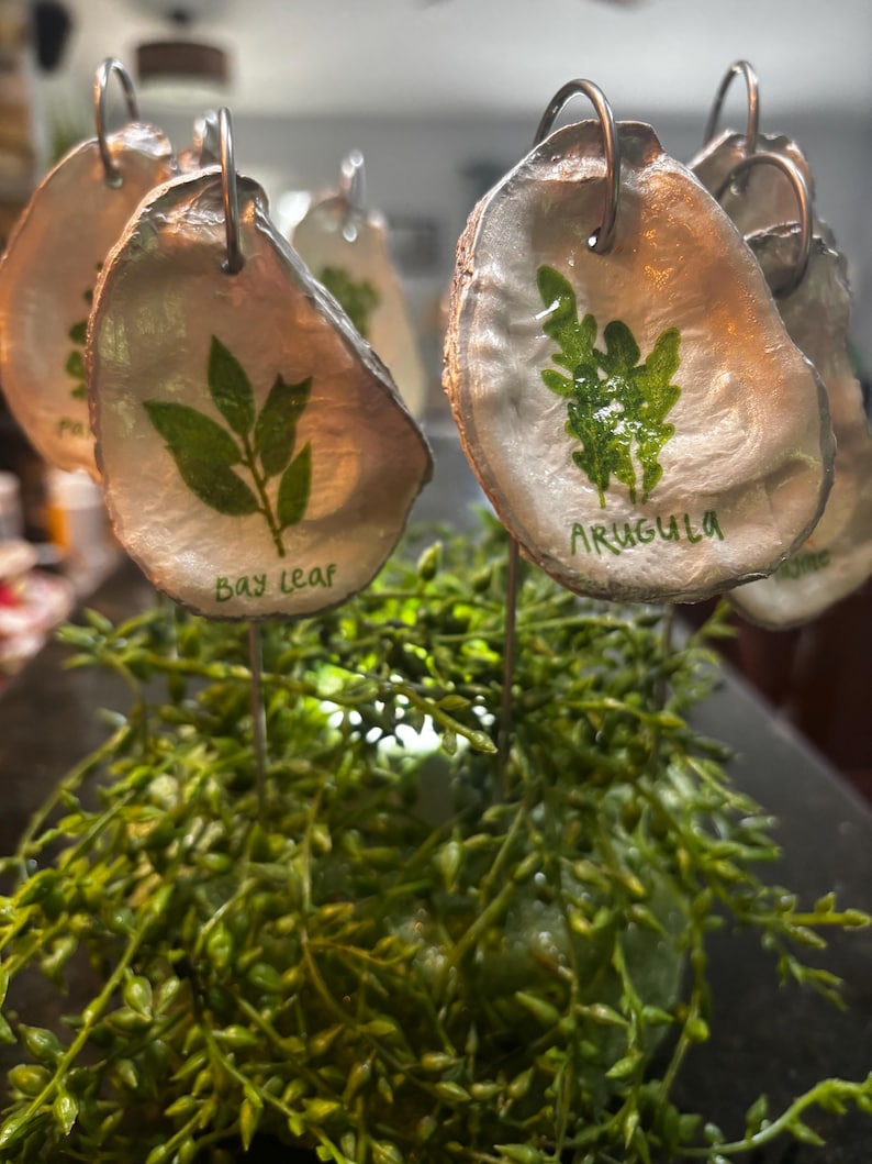 Shell Table Marker Herb Plant Markers - Etsy
