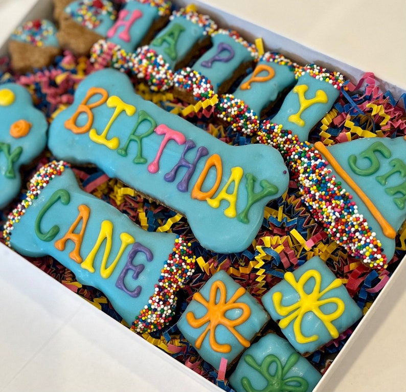 Colorful Happy Birthday Dog Treat CUSTOM Gift Box/ 15 Etsy