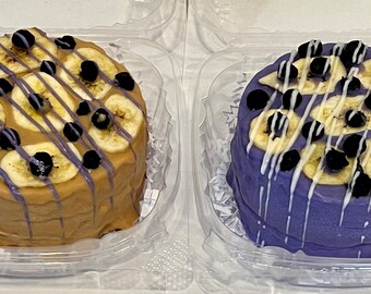 Blue Berry & Banana Split Doggie Cake