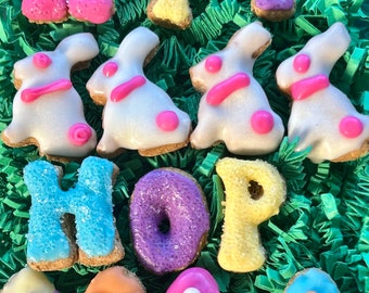 HIP HOP Dog Gift Box/Easter Dog Treats/Iced Dog Treats/Cute Easter Dog Treats