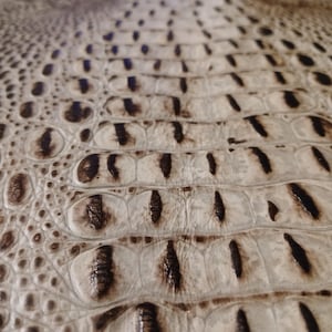 May include: Close-up of a textured, off-white material with a pattern resembling crocodile skin. The pattern features dark brown, elongated shapes and small, circular details, creating a realistic reptile texture.