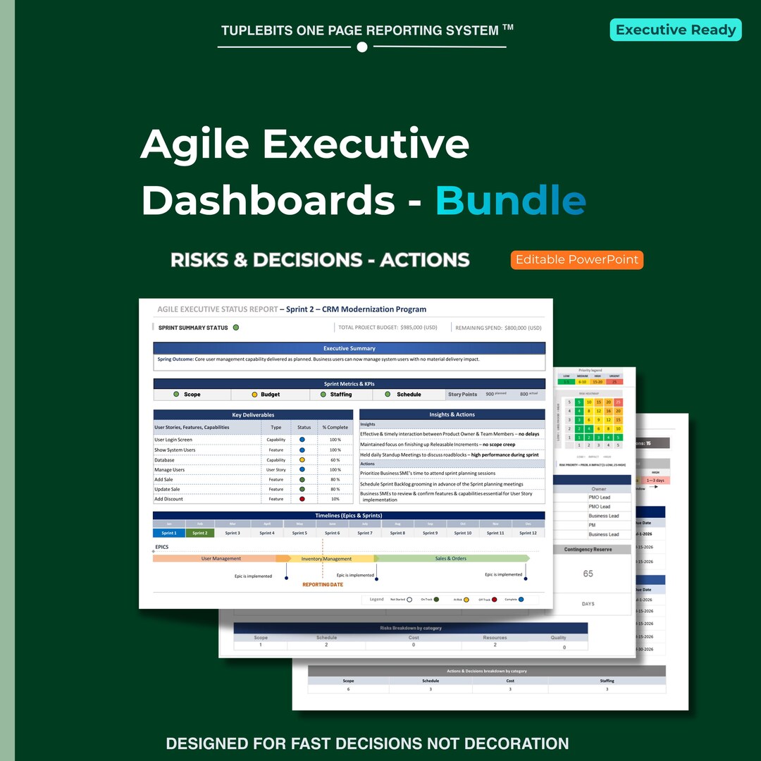 Agile Executive Dashboards Bundle – Project Management PMO Status Risk ...