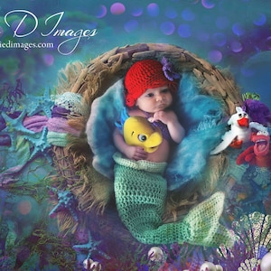 Princess Ariel Inspired Mermaid Costume/Princess Ariel Mermaid Tail/Ariel Wig Hat/Princess Photo Prop Newborn to 12 Months- MADE TO ORDER
