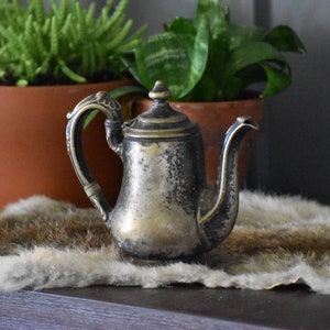 May include: Vintage silver-coloured teapot with a curved spout and decorative handle. The teapot is placed on a fur-like surface, with potted plants in the background. The teapot has a small lid and a textured surface.