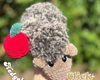 Amigurumi Igel Häkelanleitung PDF | Amigurumi Plüsch | Leicht Anfänger | Digitaler Download