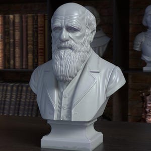 May include: A white bust of a man with a long beard and a suit jacket. The bust is on a dark surface, with bookshelves and other busts in the background. The bust is a classical sculpture.