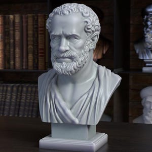 May include: A white marble bust of a bearded man with curly hair, set on a square base. The bust is displayed on a dark wooden surface, with bookshelves filled with books in the background. Other busts are visible.