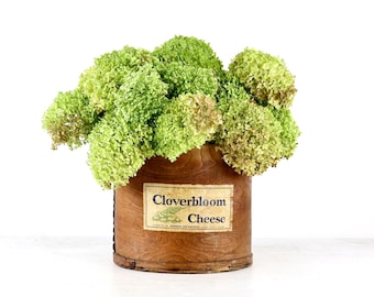 Vintage Rustic Cloverbloom Cheese Round Cheese Box, Vintage Kitchen Decor, Primitive Home