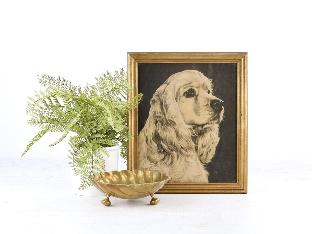 Vintage Framed Dog Photo, Cocker Spaniel Framed Picture, Dog Wall Art ...