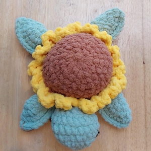 Sunflower Sea Turtle