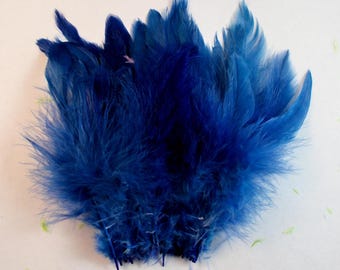 dark blue feathers rooster schlappen fly tying crafts