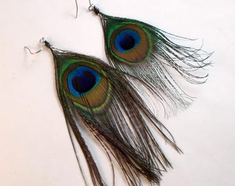 Natural peacock feather earrings Real Feathers small