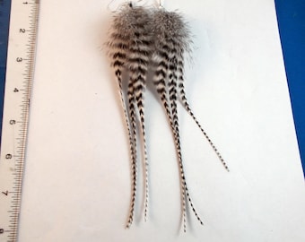 grizzly natural feather earrings medium natural real