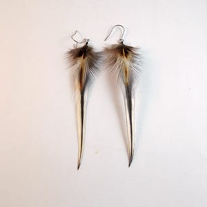 egg shell small natural feathers