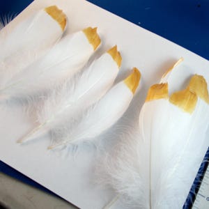 Gold Tip goose Wing Feathers: Hand Painted Smudge Quill - Fly Tying