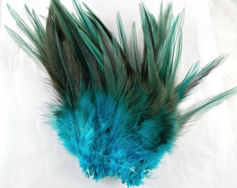 Feathers teal over Furnace saddle hackles 5 to 7 inches kingfisher blue teal