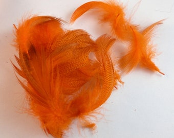 duck feathers Mallard Flank Orange craft feathers fly tying fascinators and more