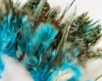 teal blue Chinchilla Strung saddle Feathers 3 to 5 inches craft feathers real feathers dream catcher feathers