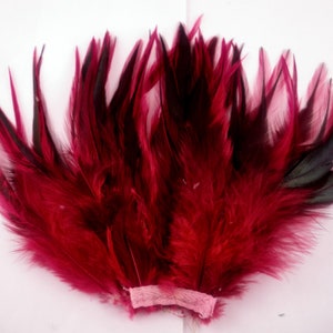 Feathers claret Red badger saddle hackles rooster 3 to 4 inches craft feathers laced feathers