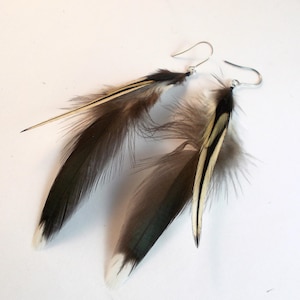 petites plumes naturelles de blaireau