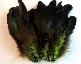 Iridescent dyed lime and Black  Schlappen  3 to 5" raven black