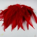 Red Feathers Strung Saddle Premium 40 pcs 6 to 8 inches craft feathers fly tying product logo